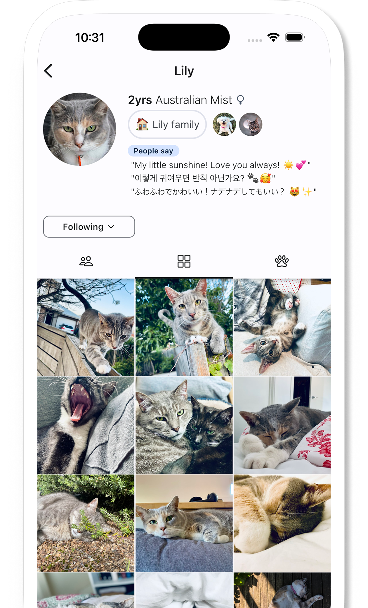 App feature